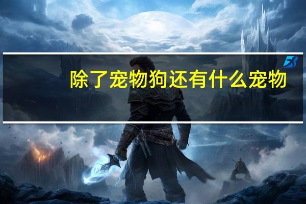 除了宠物狗还有什么宠物