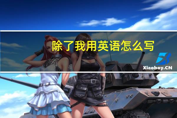 除了我用英语怎么写