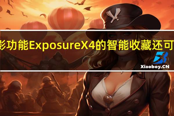 除了摄影功能 ExposureX4的智能收藏还可以使用关键词