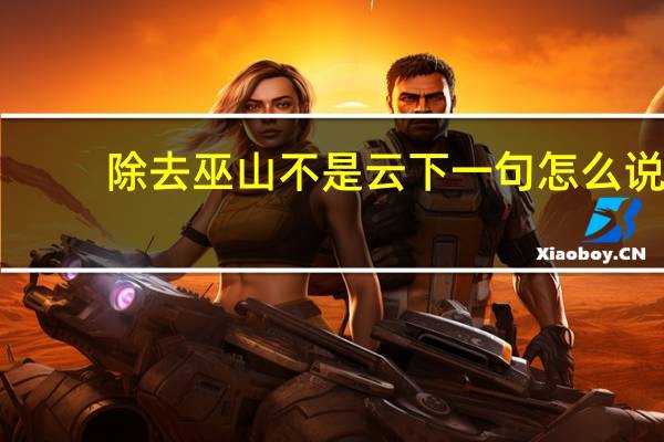 除去巫山不是云下一句怎么说