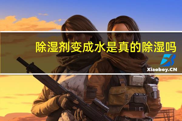 除湿剂变成水是真的除湿吗