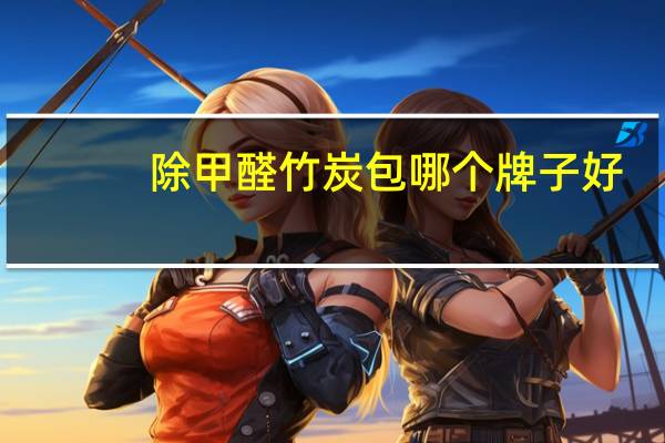除甲醛竹炭包哪个牌子好
