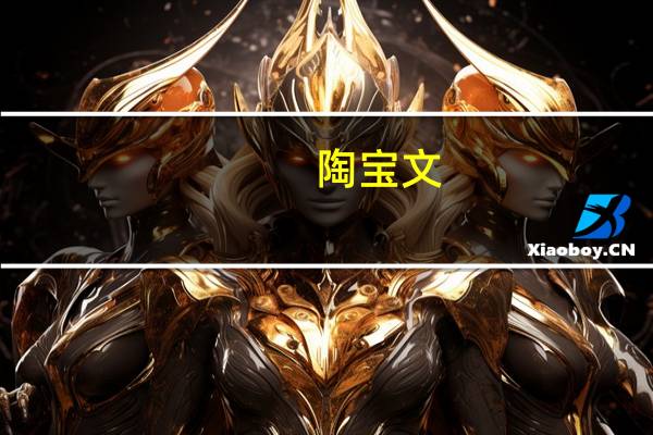 陶宝文（陶宝旺旺）