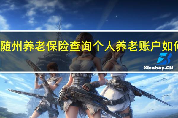随州养老保险查询 个人养老账户如何查询