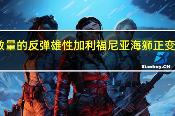 随着种群数量的反弹 雄性加利福尼亚海狮正变得越来越大更好
