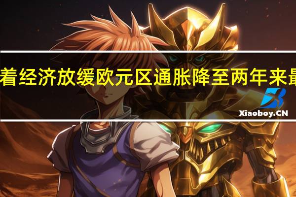 随着经济放缓欧元区通胀降至两年来最低水平