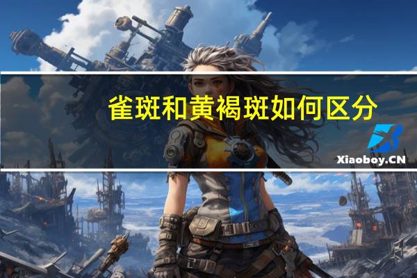 雀斑和黄褐斑如何区分