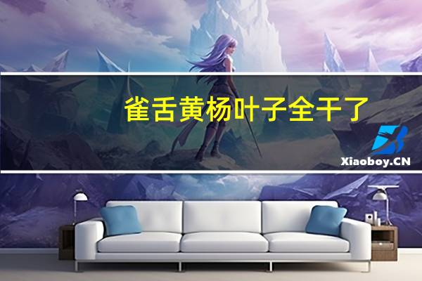 雀舌黄杨叶子全干了