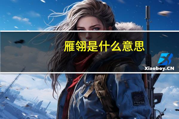 雁翎是什么意思