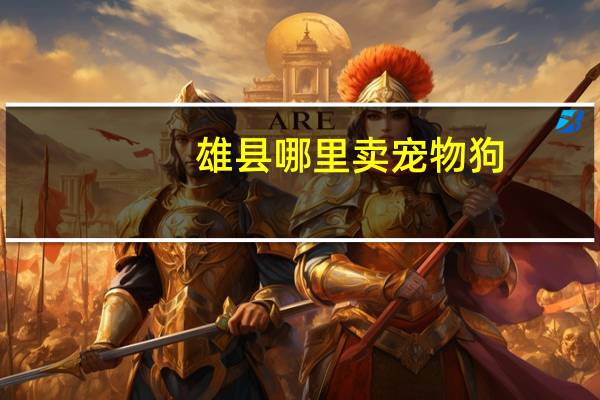 雄县哪里卖宠物狗