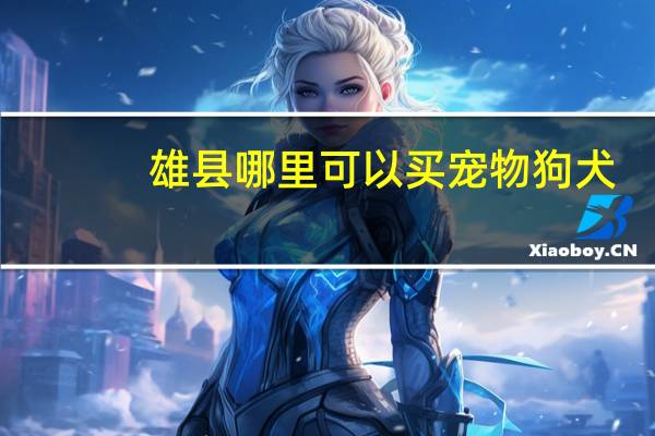 雄县哪里可以买宠物狗犬