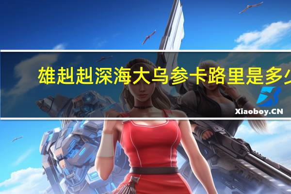 雄赳赳 深海大乌参卡路里是多少