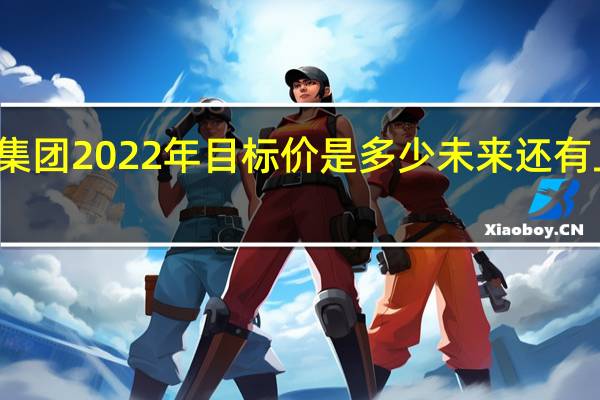 雅化集团2022年目标价是多少 未来还有上升空间吗