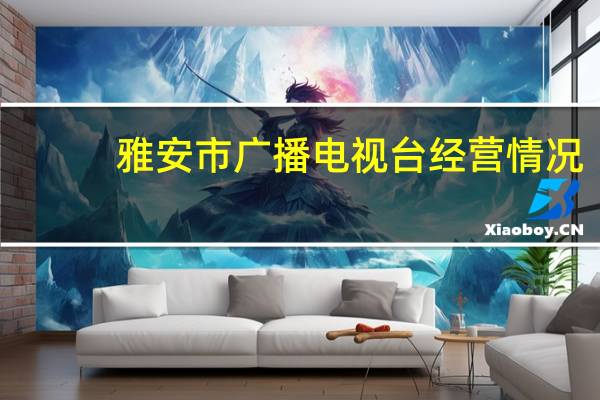 雅安市广播电视台经营情况