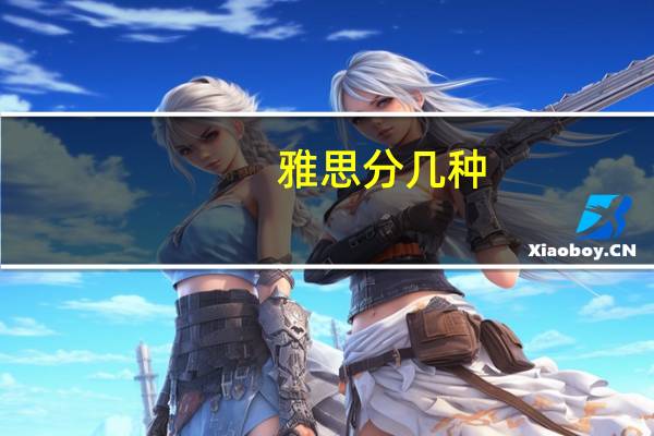 雅思分几种