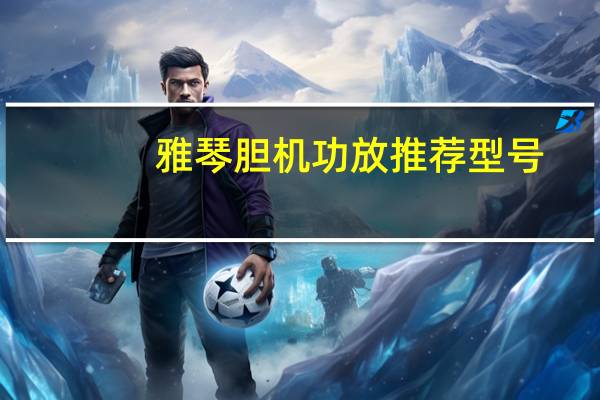 雅琴胆机功放推荐型号（雅琴胆机功放推荐）