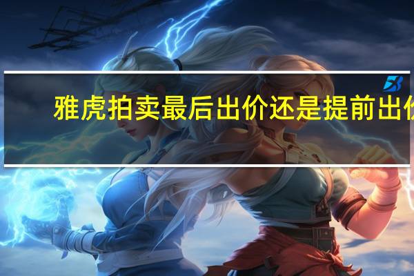 雅虎拍卖最后出价还是提前出价（雅虎拍卖）