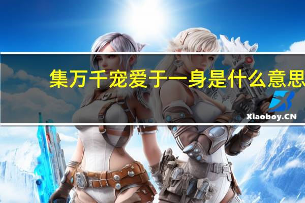 集万千宠爱于一身是什么意思
