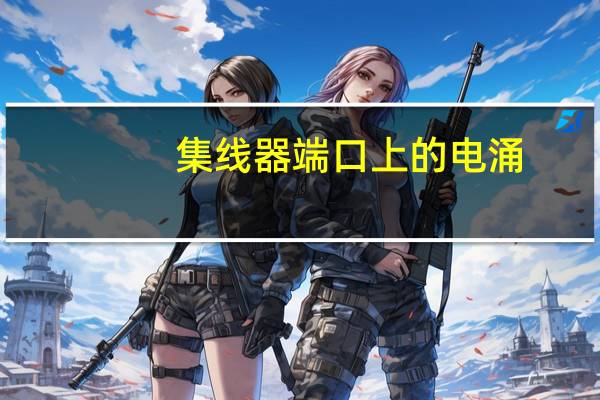 集线器端口上的电涌（集线器）