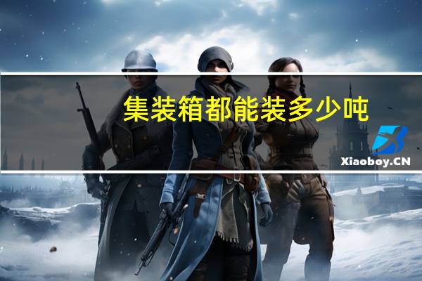 集装箱都能装多少吨