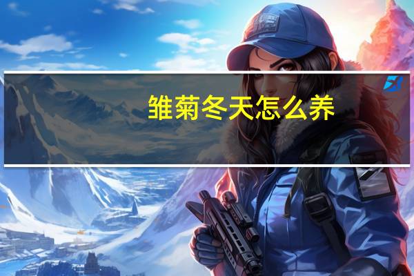 雏菊冬天怎么养