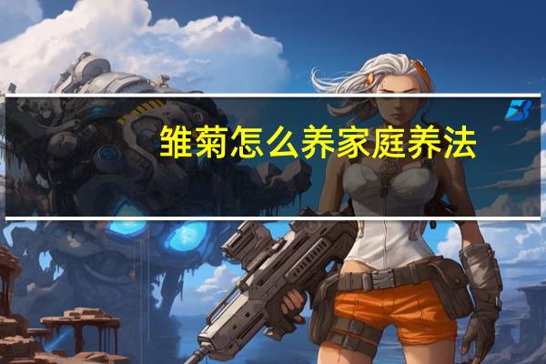雏菊怎么养家庭养法