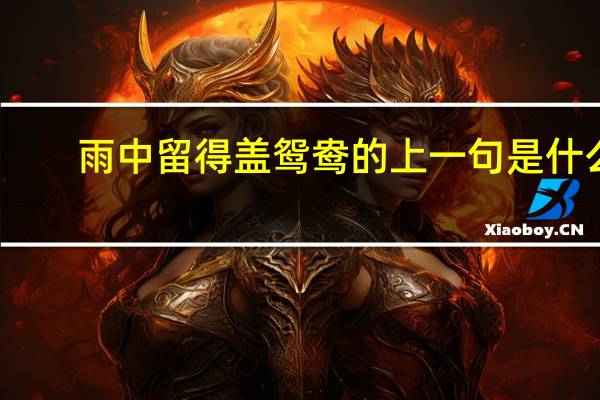 雨中留得盖鸳鸯的上一句是什么