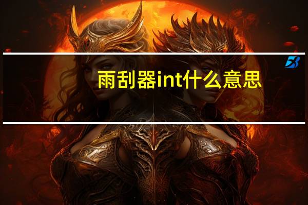 雨刮器int什么意思