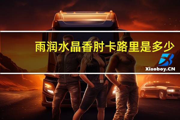 雨润 水晶香肘卡路里是多少