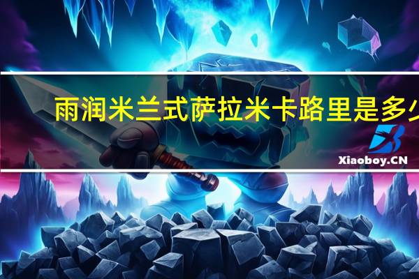 雨润 米兰式萨拉米卡路里是多少