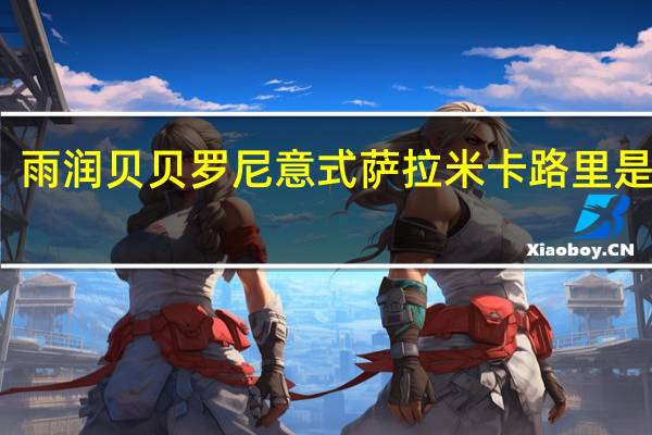 雨润贝贝罗尼意式萨拉米卡路里是多少