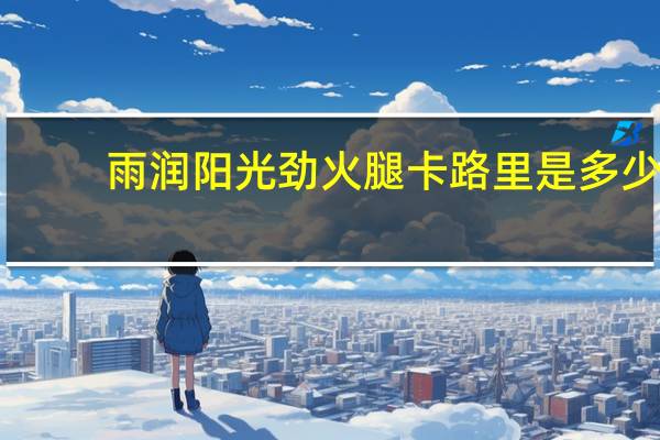 雨润 阳光劲火腿卡路里是多少