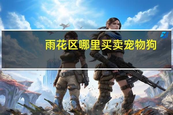 雨花区哪里买卖宠物狗