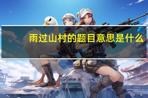 雨过山村的题目意思是什么?（雨过山村的题目意思）