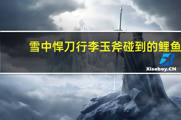雪中悍刀行李玉斧碰到的鲤鱼