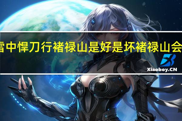 雪中悍刀行褚禄山是好是坏 褚禄山会叛变吗　