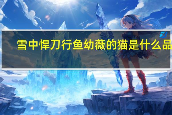 雪中悍刀行鱼幼薇的猫是什么品种