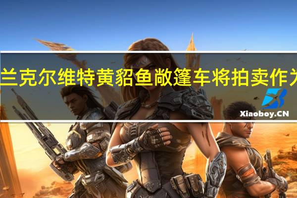 雪佛兰克尔维特黄貂鱼敞篷车将拍卖作为慈善用途