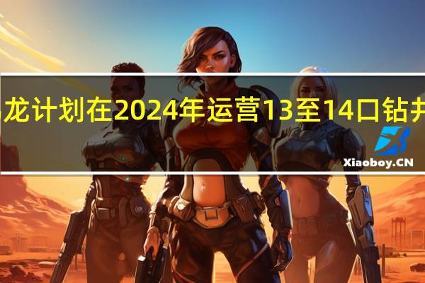 雪佛龙计划在2024年运营13至14口钻井低于预期