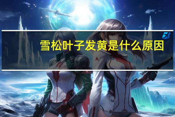 雪松叶子发黄是什么原因