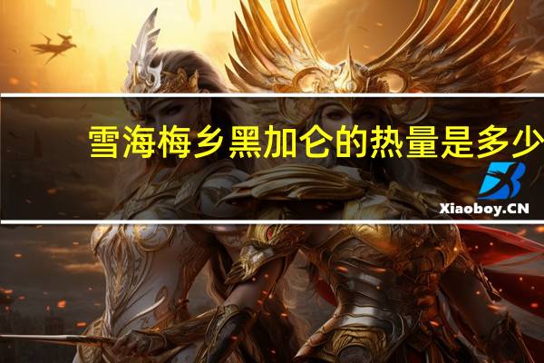 雪海梅乡 黑加仑的热量是多少