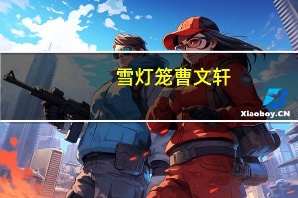 雪灯笼曹文轩（雪打灯-旧简介）