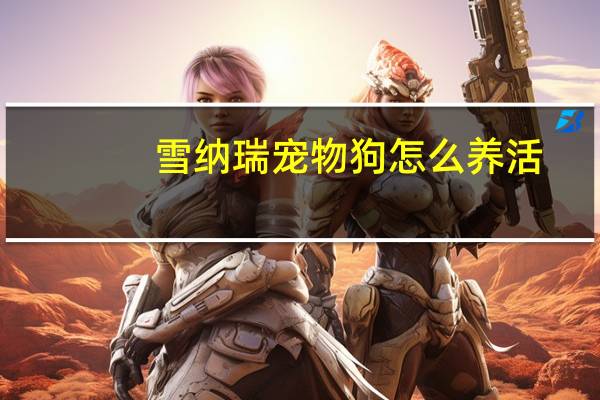 雪纳瑞宠物狗怎么养活
