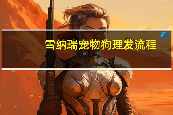 雪纳瑞宠物狗理发流程