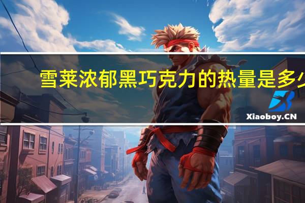 雪莱 浓郁黑巧克力的热量是多少