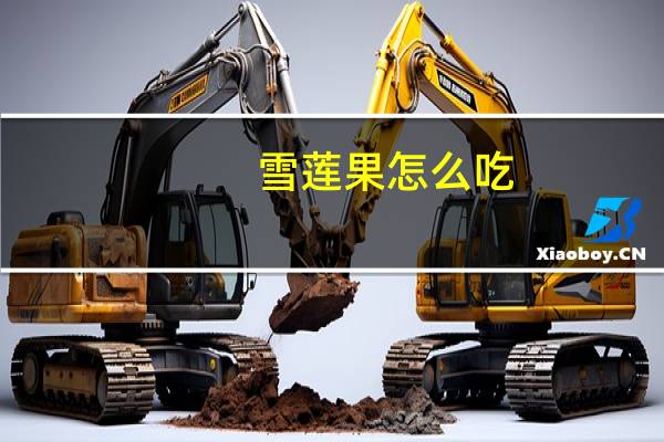 雪莲果怎么吃
