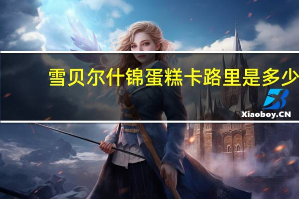 雪贝尔 什锦蛋糕卡路里是多少