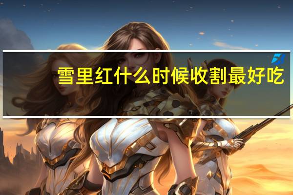 雪里红什么时候收割最好吃