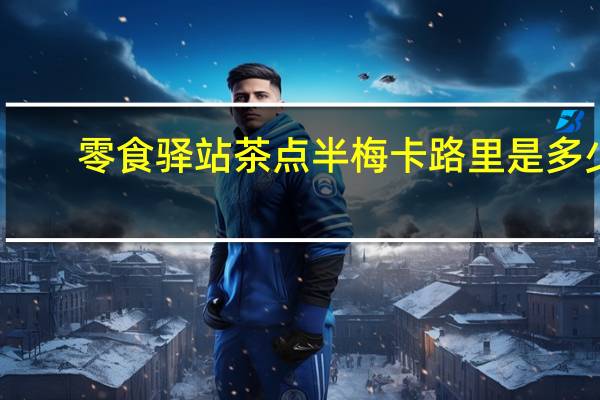 零食驿站 茶点半梅卡路里是多少