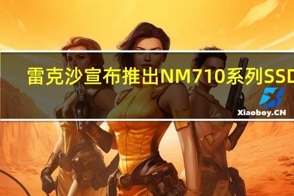 雷克沙宣布推出NM710系列SSDM.22280形态